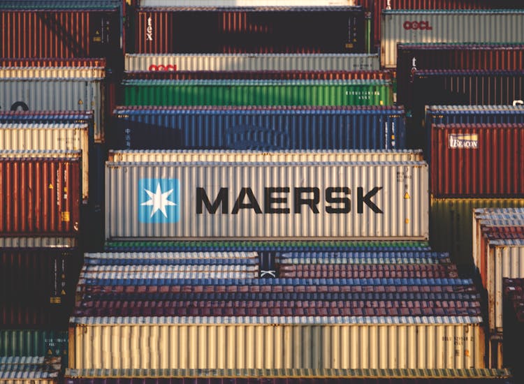 pexels-photo-15876599